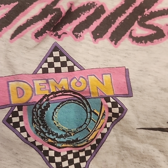 6 Flags Great America Thrillseeker Vtg 1990s Theme Park T-shirt Sz L Gray - Picture 8 of 12